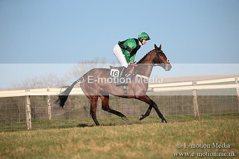 PtP 230219 501 - Vine & Craven Point-To-Point - Barbury 23/02/19
