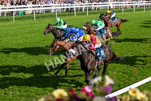 240824-Race 6-Tropical Storm-1856 - Race 6 4.45pm Julia Graves Roses Stakes