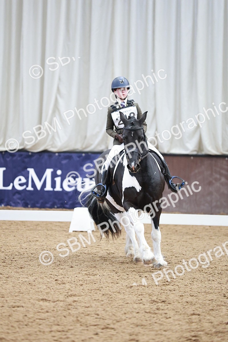 SBM_003882 - Class 2 - Novice 2020