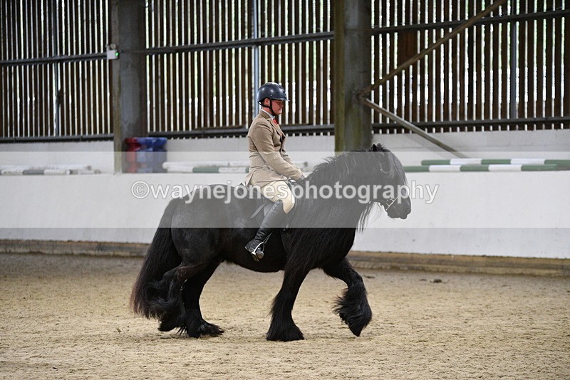 WJ5_8603 - Class 14 Novice Ridden/Rider