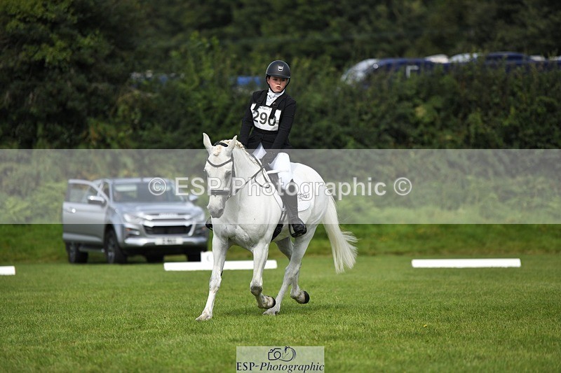 230826-104042-15565 - Sections C & D 10 to End