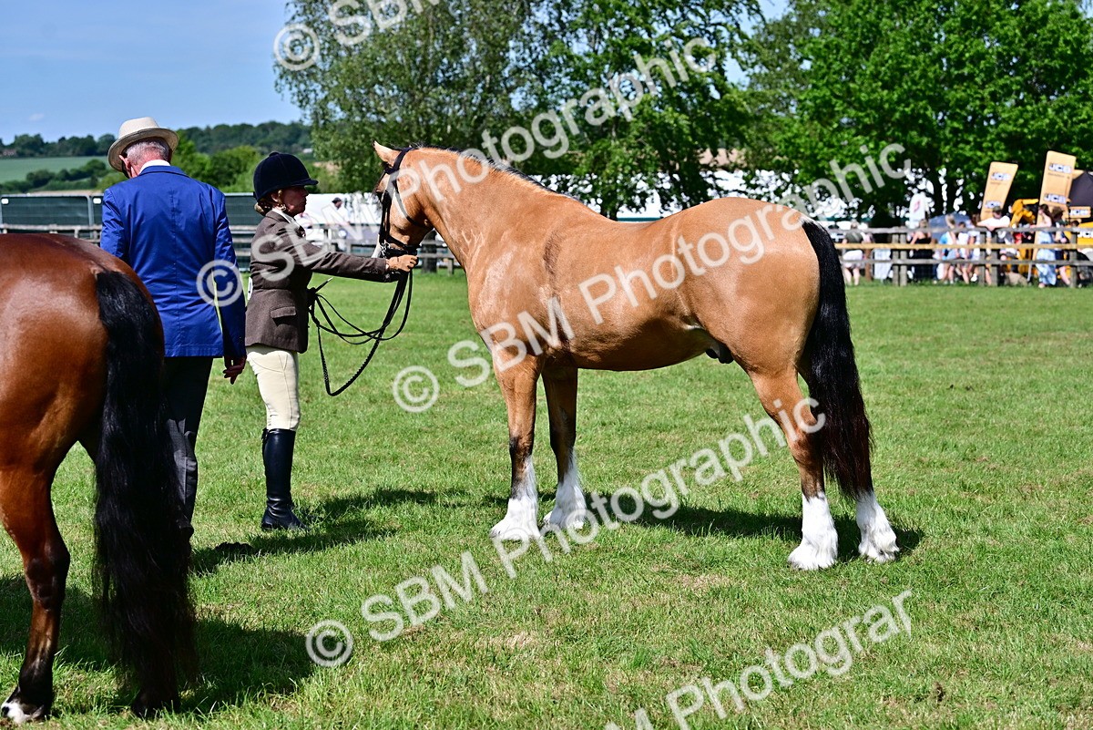 SBM_08071 - Class 61-62 - TSR  M&M Ridden Amateur of the Year