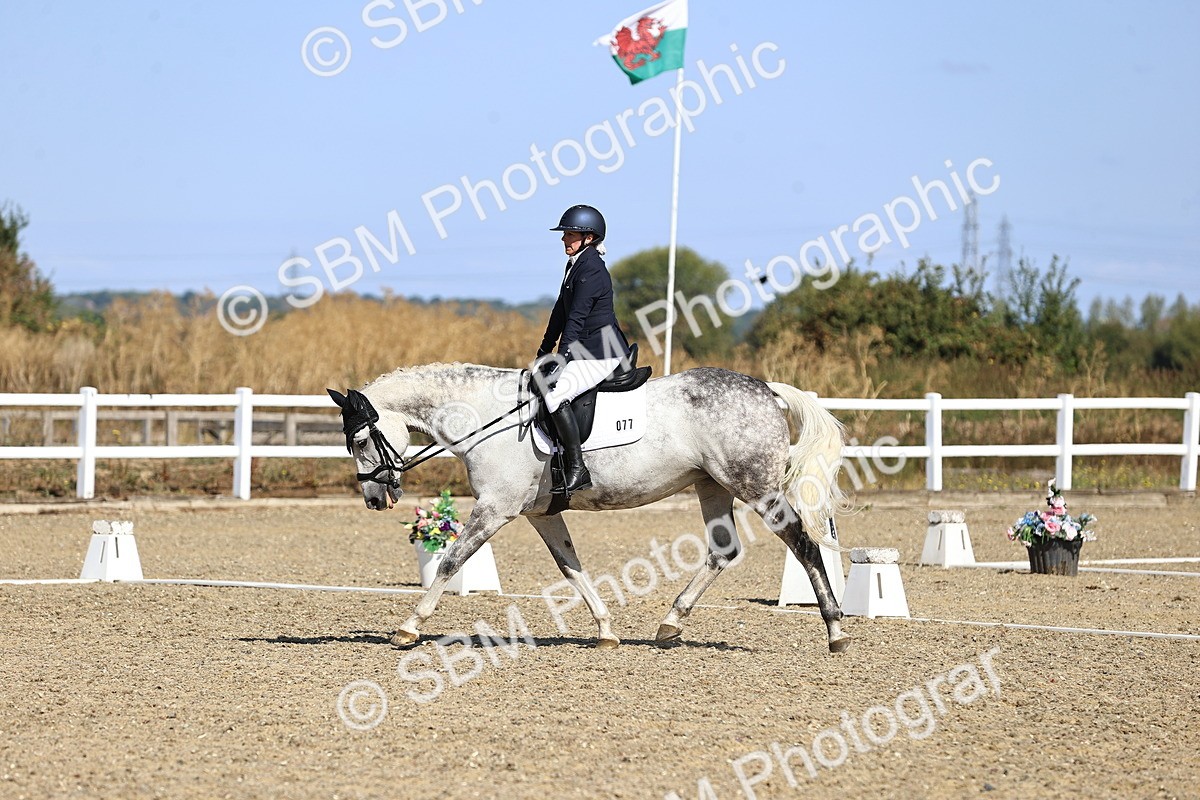 SBM_013141 - Class 2 - P5 Silver  10.03.10.59
