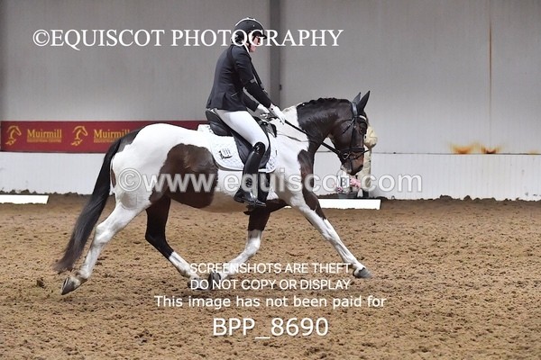 BPP_8690 - NOVICE 6 BD