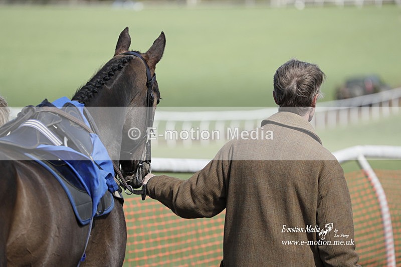 PtP 100423 680 - Old Berkshire Point-to-Point Lockinge 10/04/23