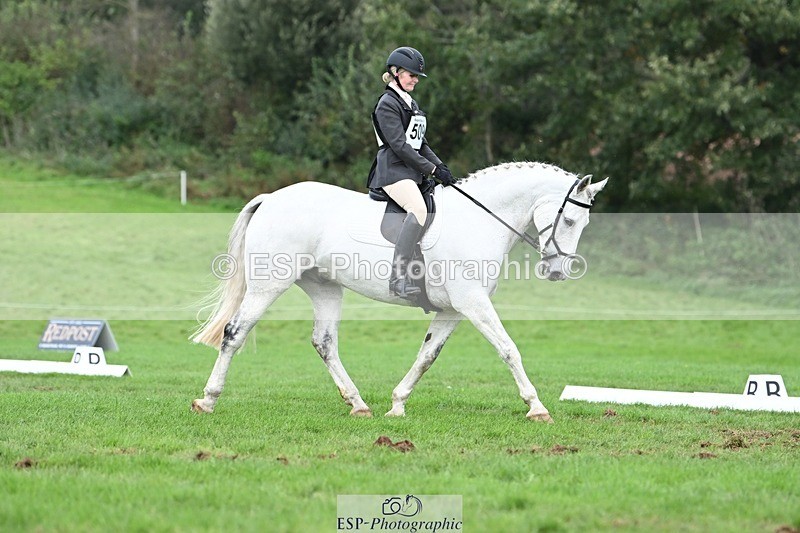 231020-155149-11288 - 509-WOODLANDS.SILVER.CLOUD-Karen.Cowling-DR