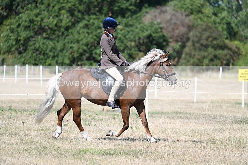 WJ7_4017 - Class 9 Mountain & Moorland Ridden