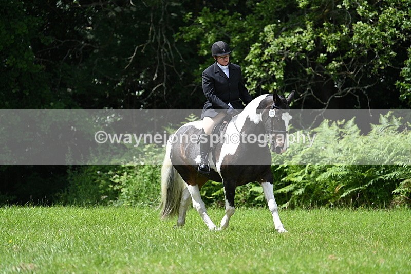 WJ7_2665 - Class 12A Coloured Class