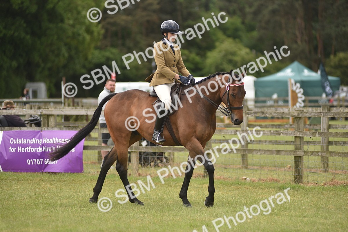 SBM_15126 - Class 113-114 - Retraining of Racehorses Ridden