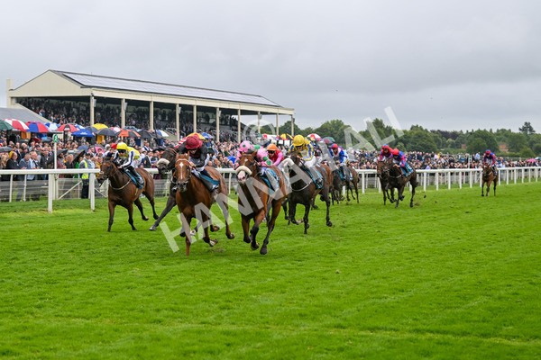 130724-Race 5-East Tyrone-7595 - Race 5 4.15pm John Smith's Nursery Handicap