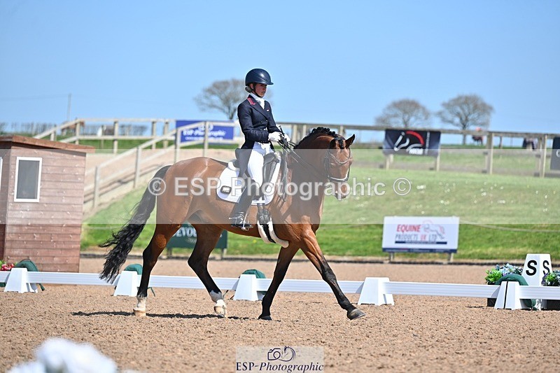 250405-130036-10813 - 028-Elizabeth.Allen-Heraldik