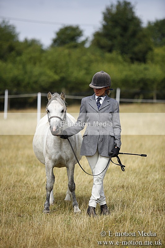 _C7A9639 - BVRC Sow 2018 Ring 2