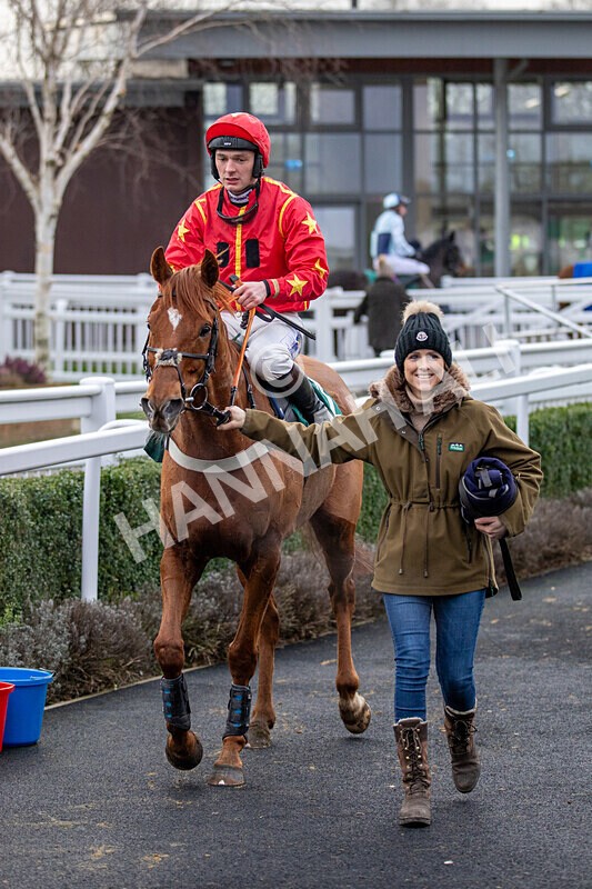 171224-Race 4-Wise Eagle-0234 - Race 4