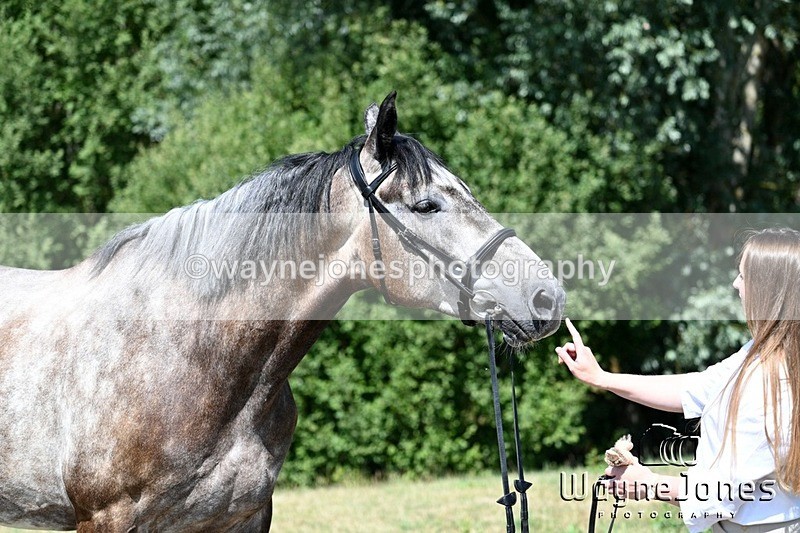 WJ7_4630 - Annable & Atlas 13-07-25