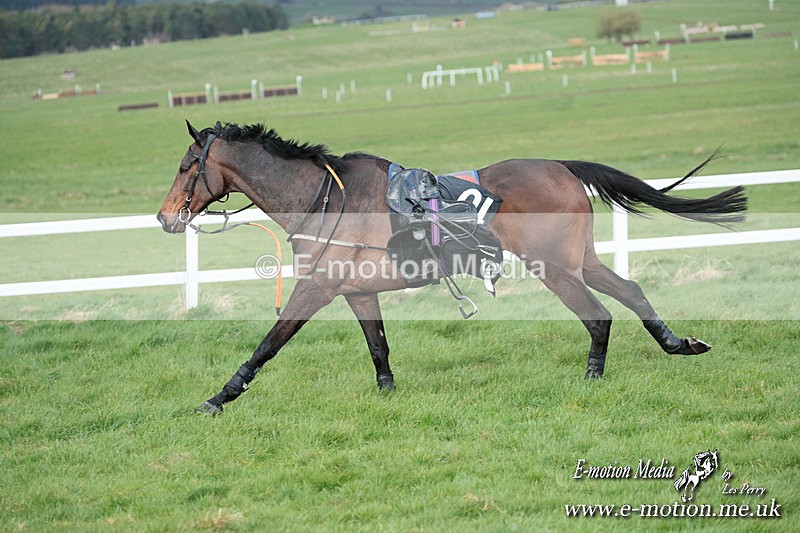 PtP 230324 908 - Tedworth Hunt PtP Larkhill Raccourse 23rd March 2024