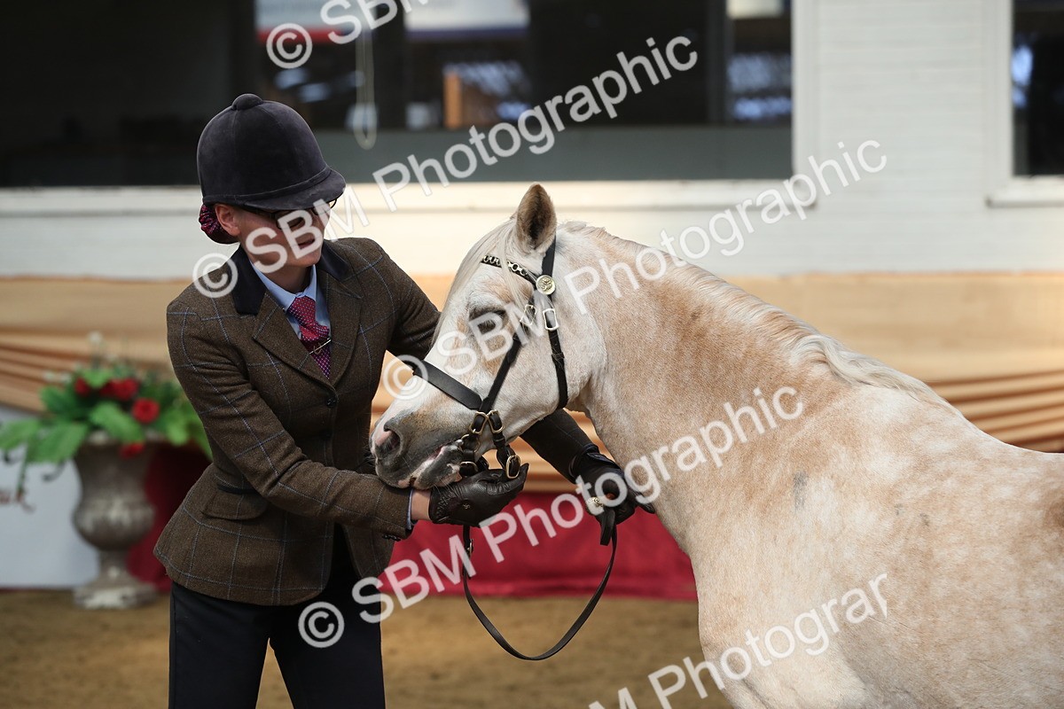 SBM_15329 - Class 501 M&M IH Supreme Final