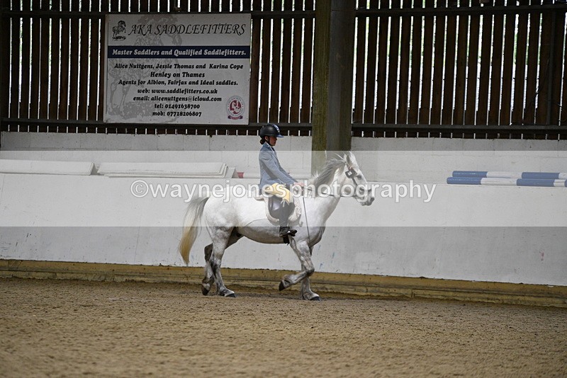 WJ5_8170 - Class 14 Novice Ridden/Rider