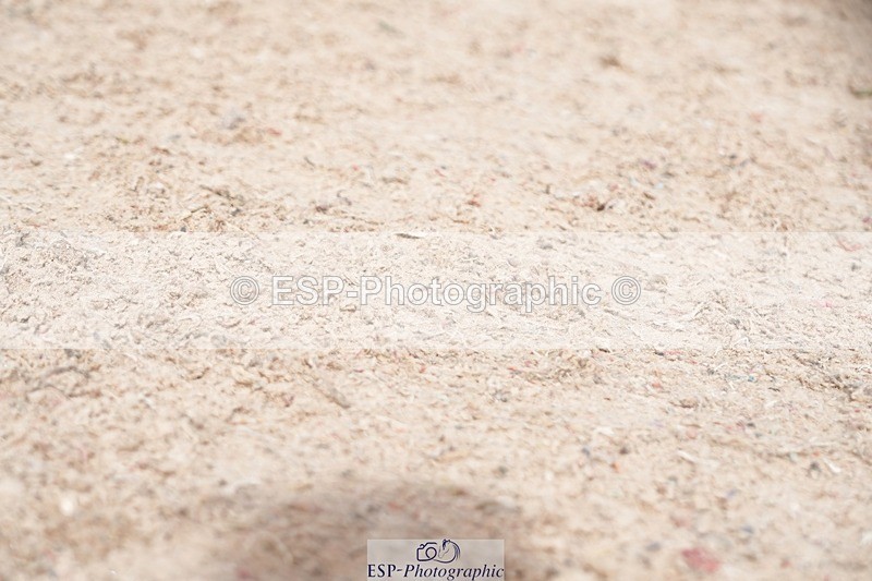 250921-134846-03412 - Cls 15-17 CoH 90cm, 1m and 1.10m