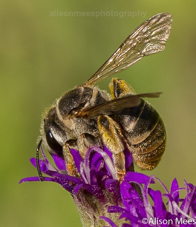  - Macro World