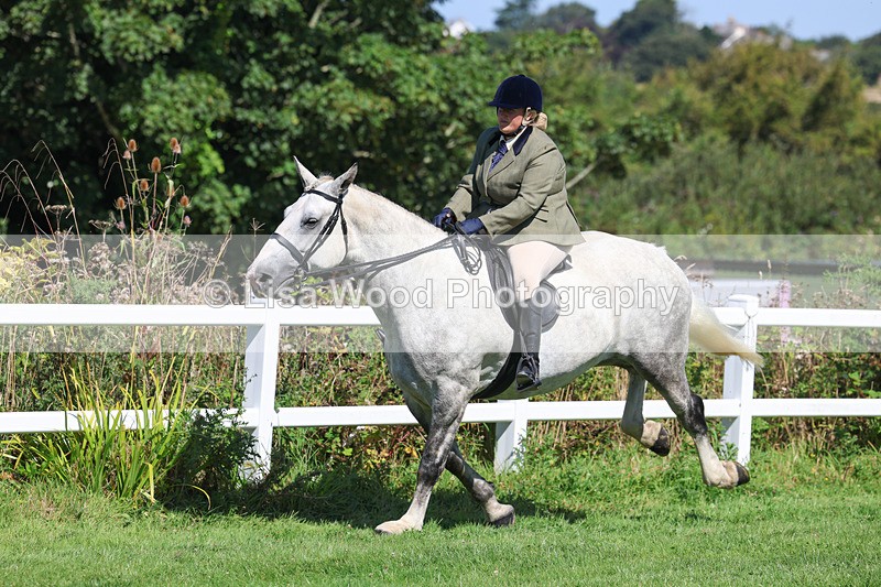 3E7A8420 - Class 4: Novice working Hunter