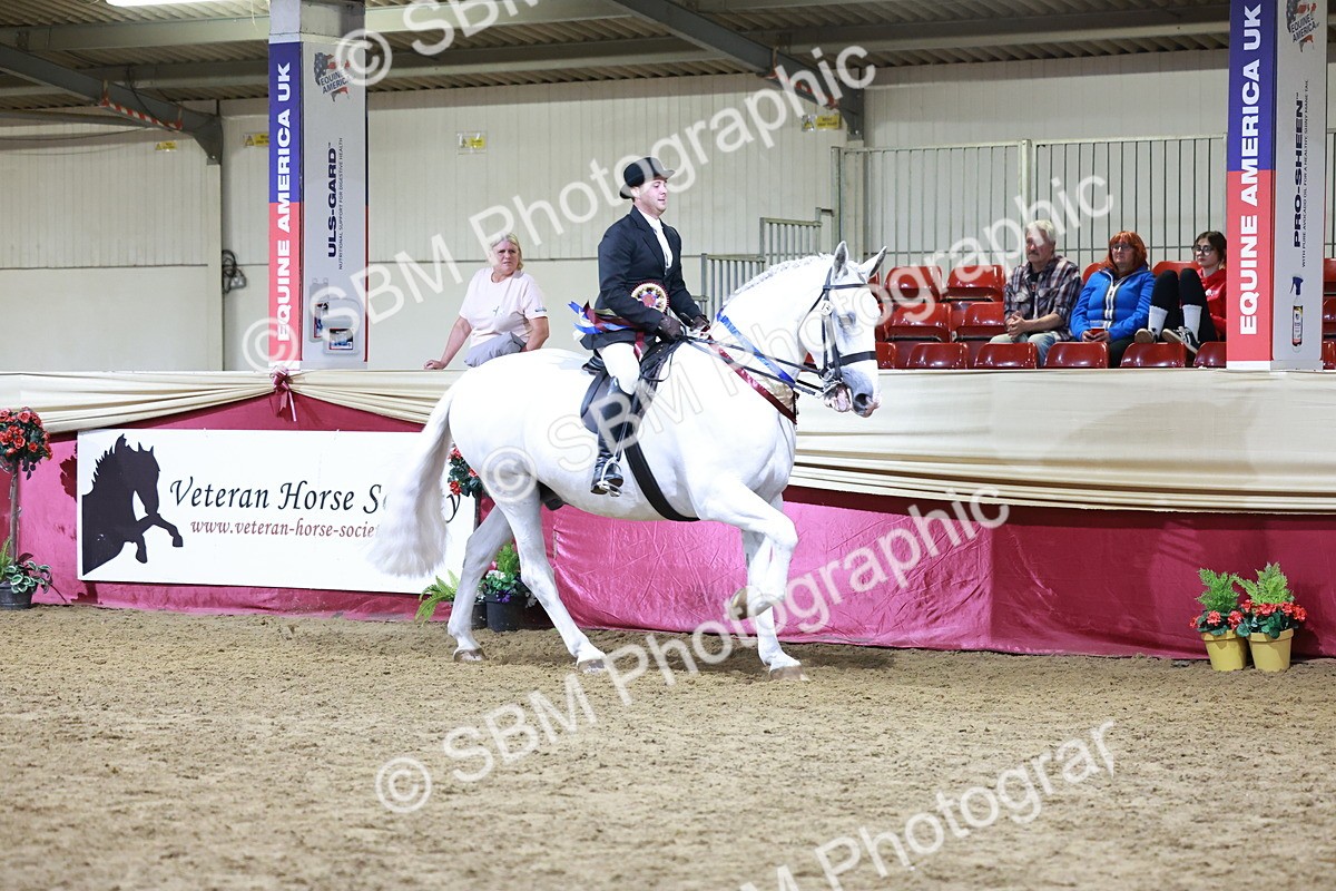 SBM_21168 - class Q - Ridden Horse Champ