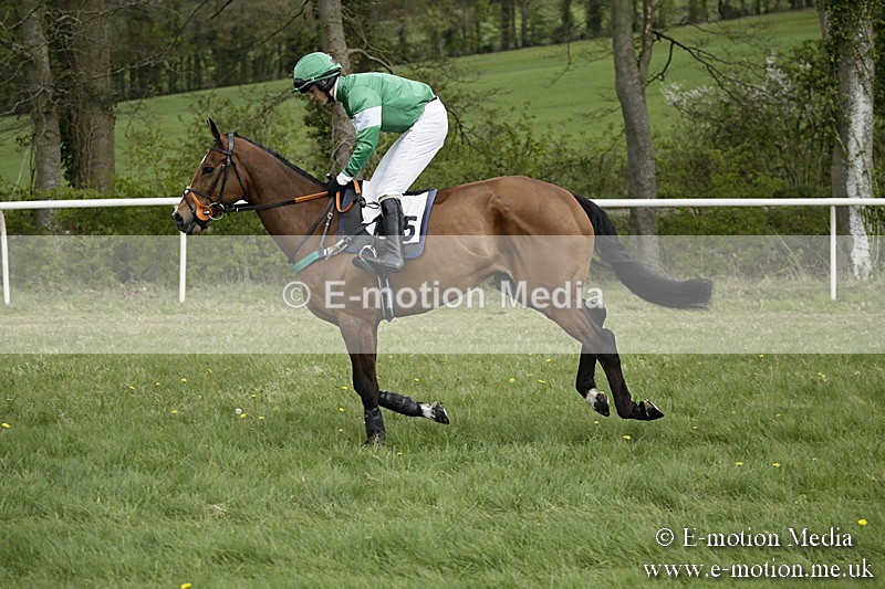 PtP 170417 136 - Old Berks Point-to-Point Lockinge 17/04/17