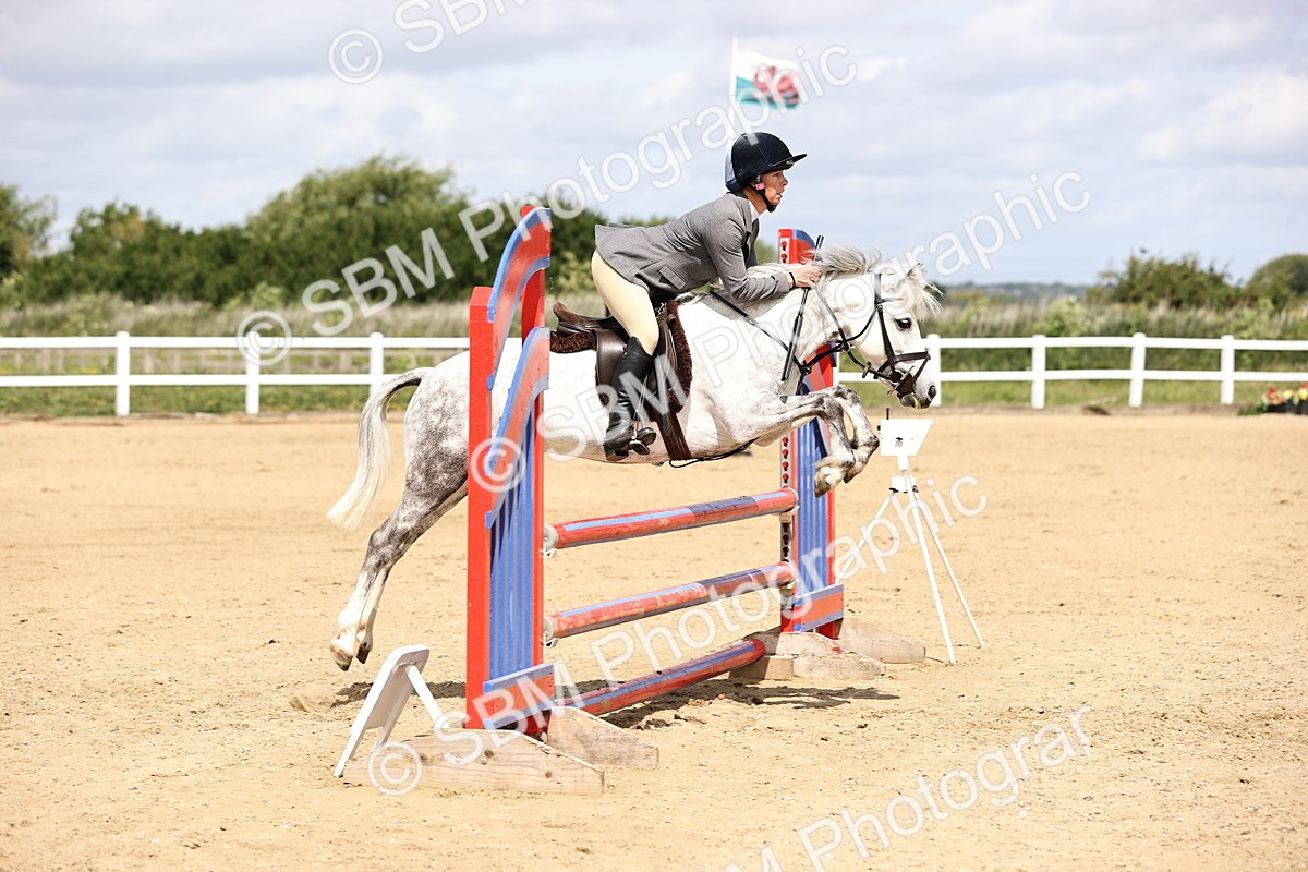 SBM_007484 - Class 2 - 80cm showjumping