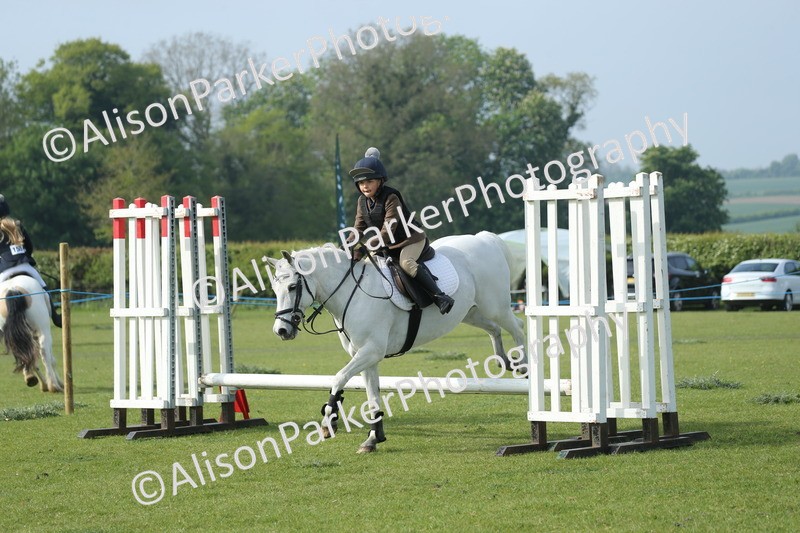 20260426-0135 - Class 13 - Rookie Jumping 50cm