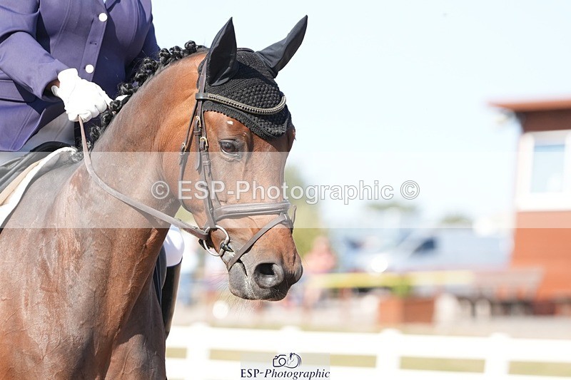 250817-165432-11978 - 211-Carey.CollettRubin's.Fanfare