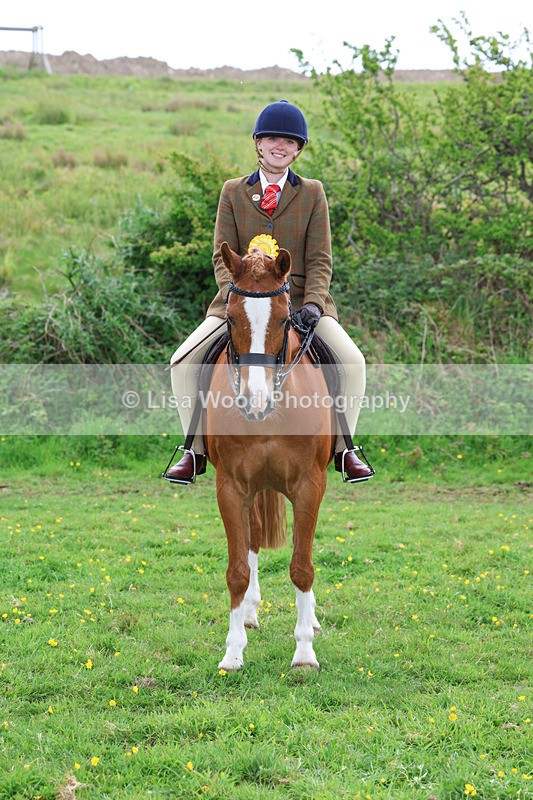 3E7A2053 - Class 10: Ridden Sports Horse