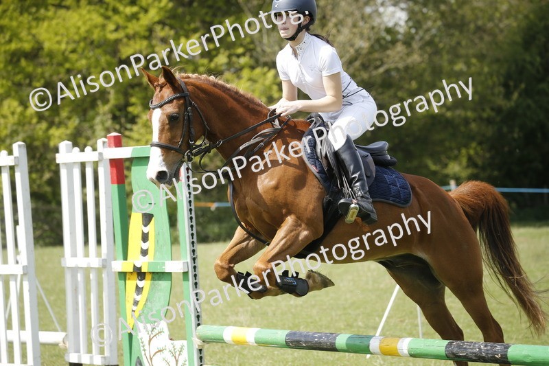 20250427-3706 - Class 14 - Absolute Novice 70cm