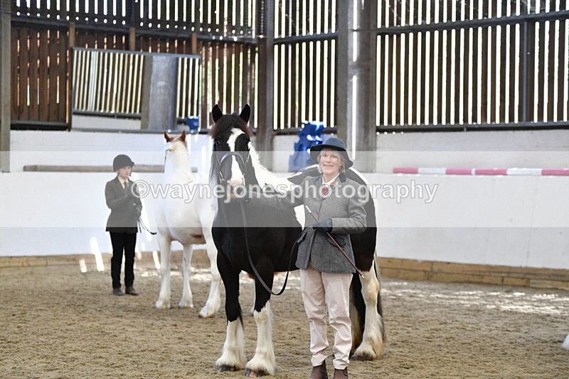 WJ5_5112 - Class 7 In hand coloured / odd coloured