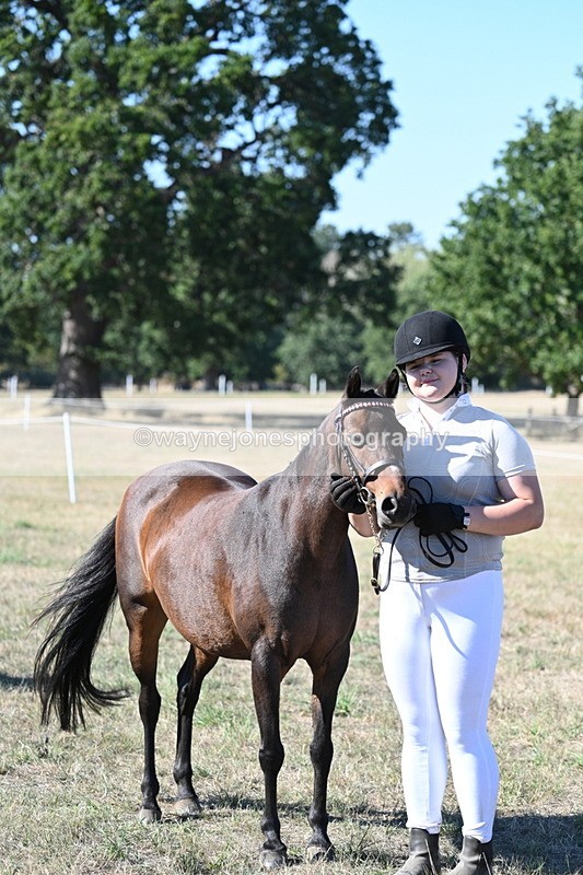 WJ7_2147 - Class 44 Child's Best Friend