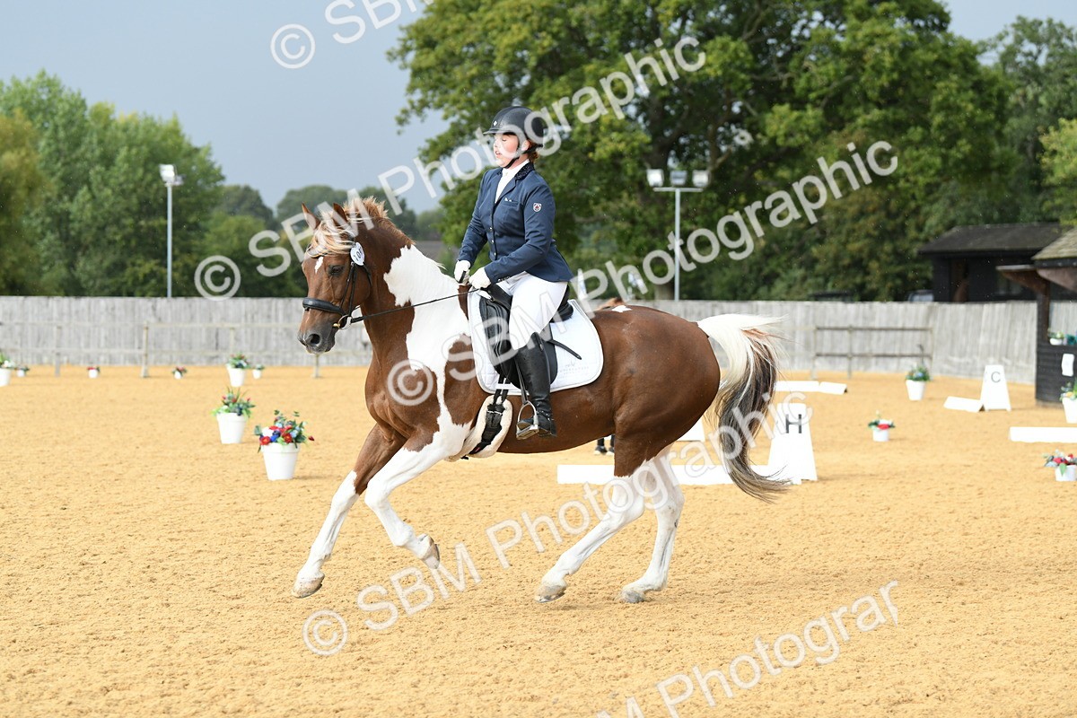 SBM_11088 - D28 Elementary Taster Elementary 42