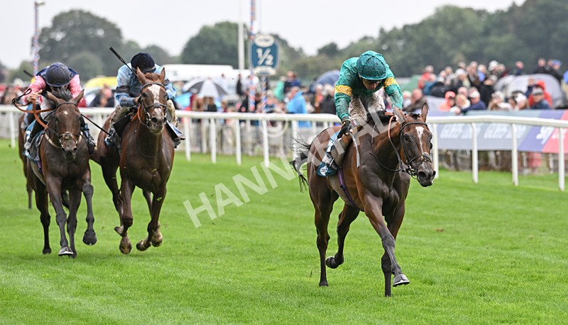 200826-129 Prizeland - Race 5 16.10pm British EBF & Sir Henry Cecil Galtres Stakes