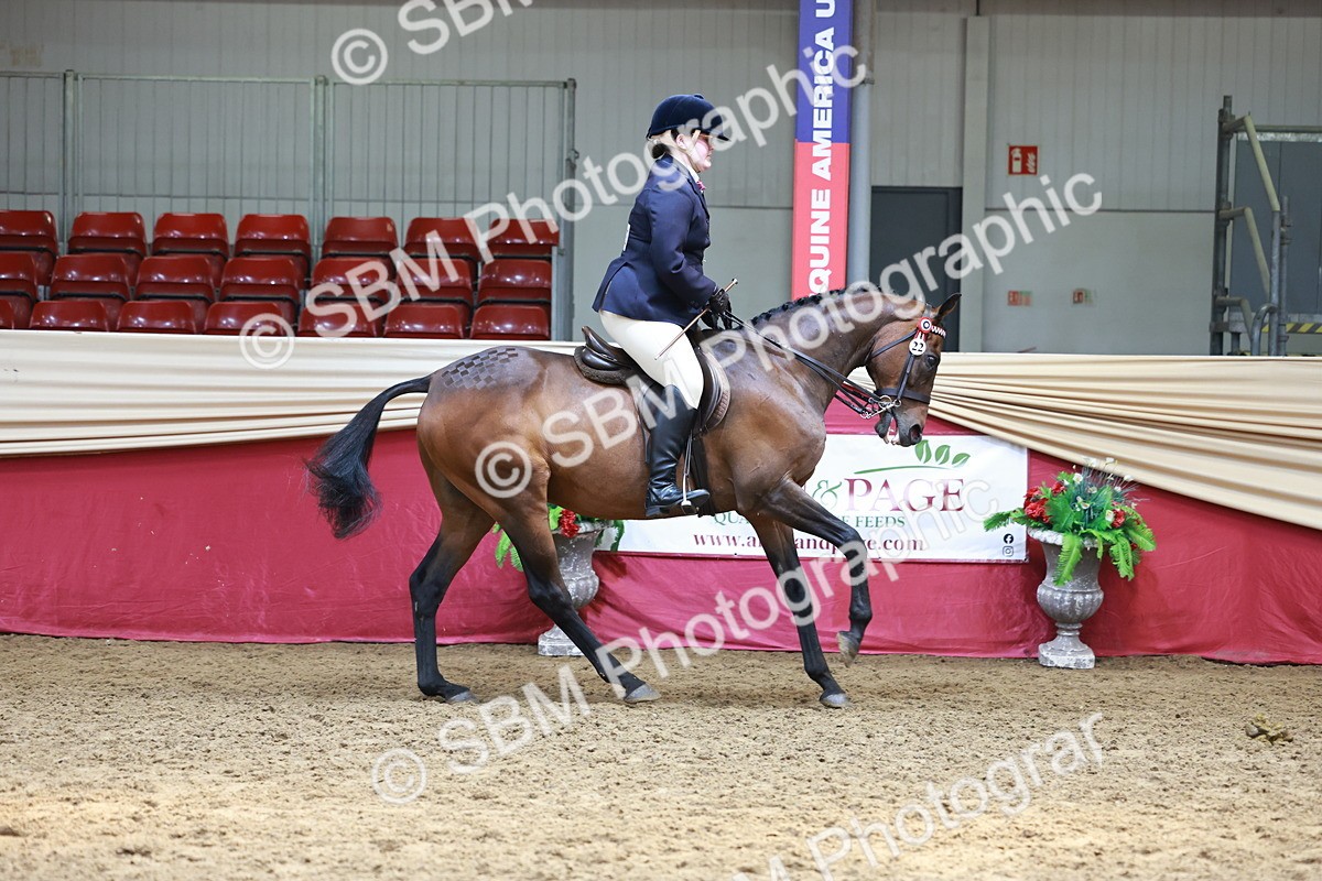 SBM_15008 - Class 108 - Ridden Retired Racehorse