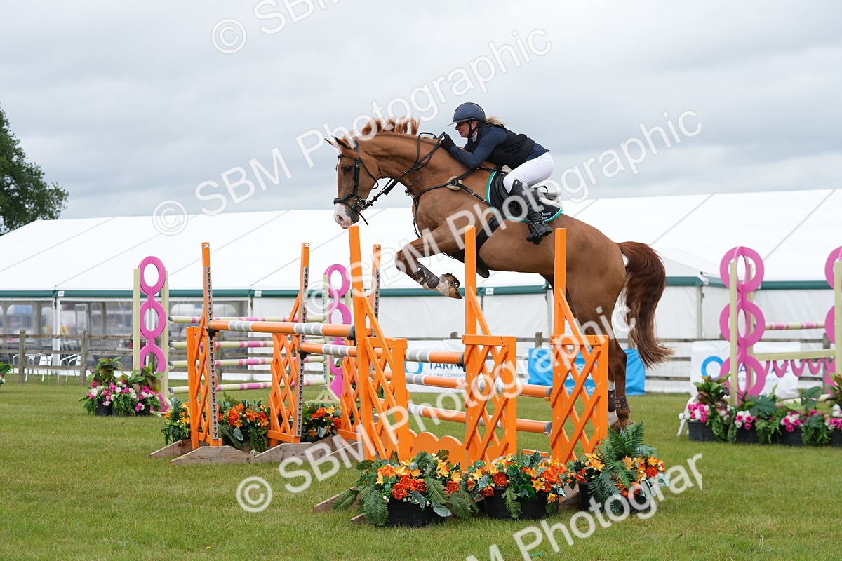 SBM_03291 - Class 201 - British Horse Feeds Speedi Beet Horse of the Year Show Grade  C