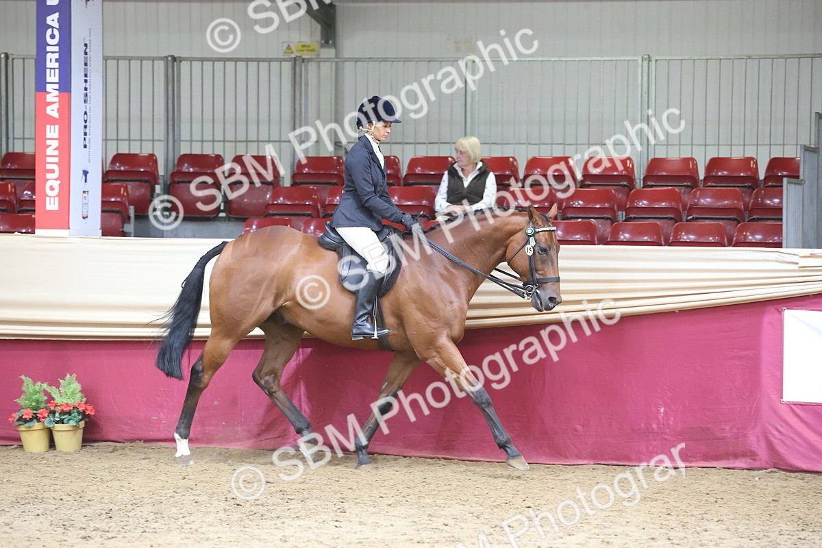 SBM_23694 - class 906 - Supreme Final - Ridden Pre Vet
