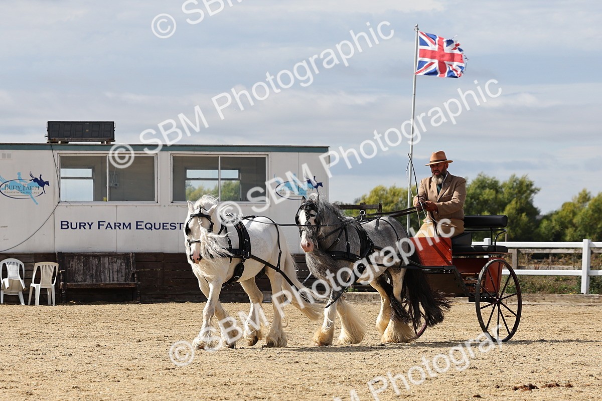 SBM_001234 - Class 16 - Pairs ,Multiples and Tandems
