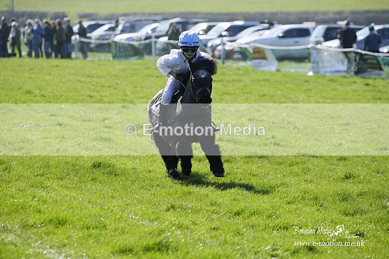 PtP 190322 40 - Wilton Hunt PtP Milborne St Andrew 19/03/22