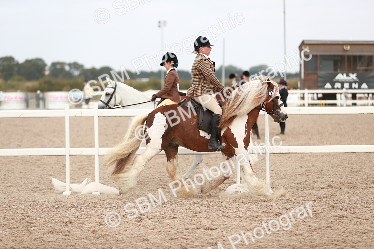 SBM_16641 - Class 214 Ridden Cob