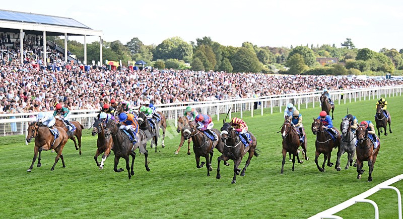220826-198 Sondad - Race 5 16.10pm Sky Bet Constantine Handicap