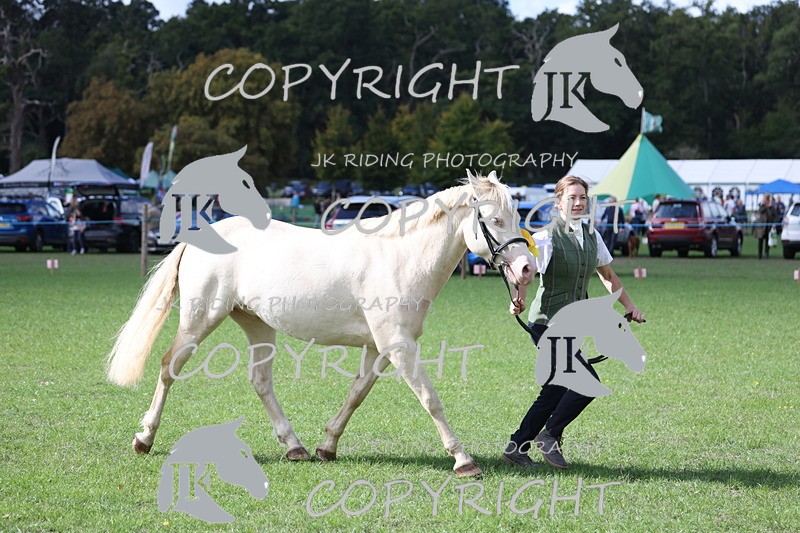 APP_3028 - Class 10a/b M&M in hand