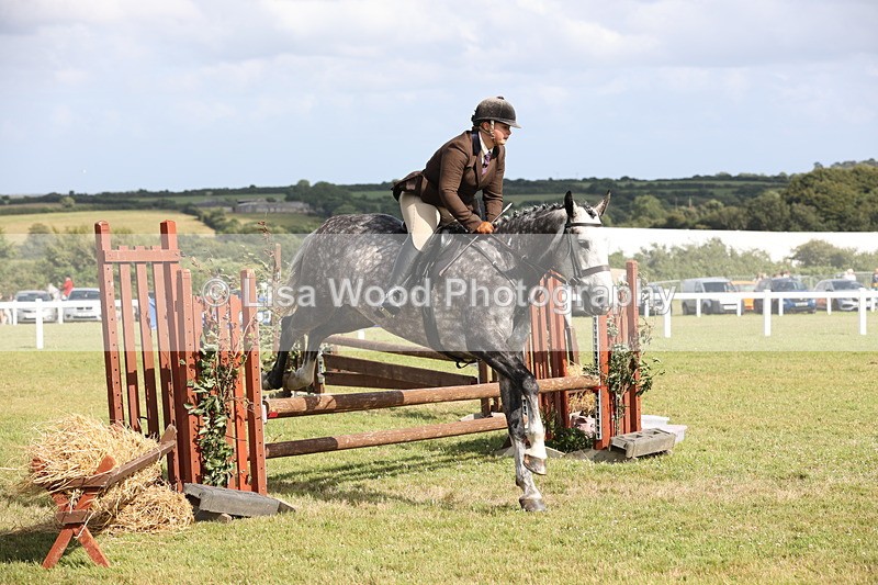 JPP_2683 - Class 20: Working Hunter 70cm