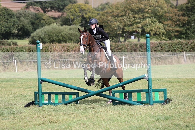 JPP_8841 - Class 2: Trekenning: 80cm Showjumping