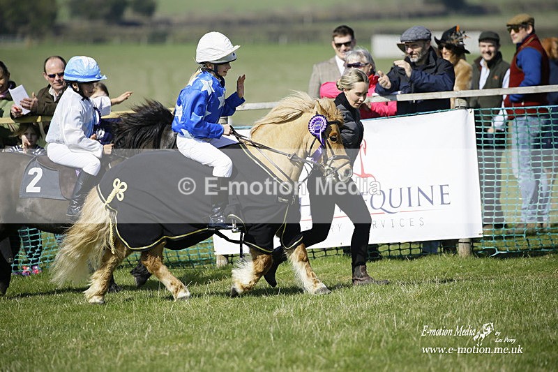 PtP 190322 106 - Wilton Hunt PtP Milborne St Andrew 19/03/22