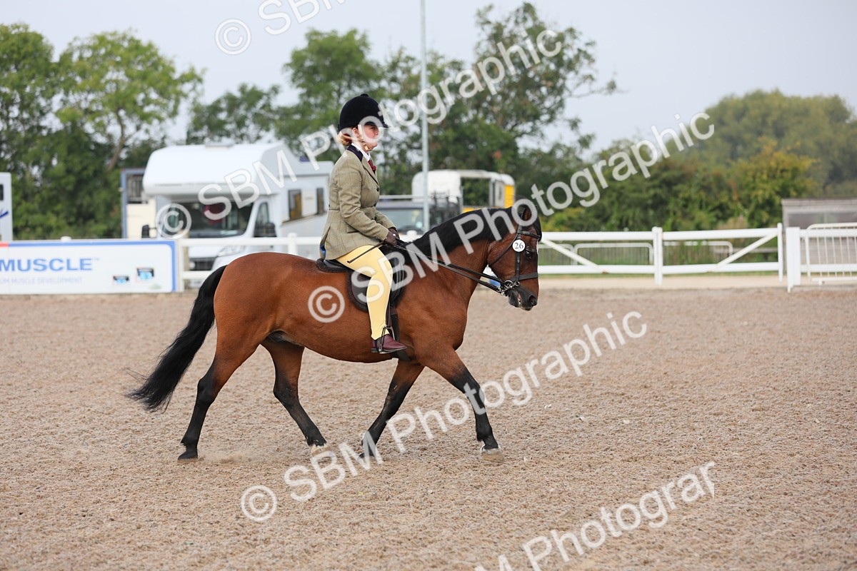 SBM_09614 - Class 301 Ridden M&M -Small Breeds
