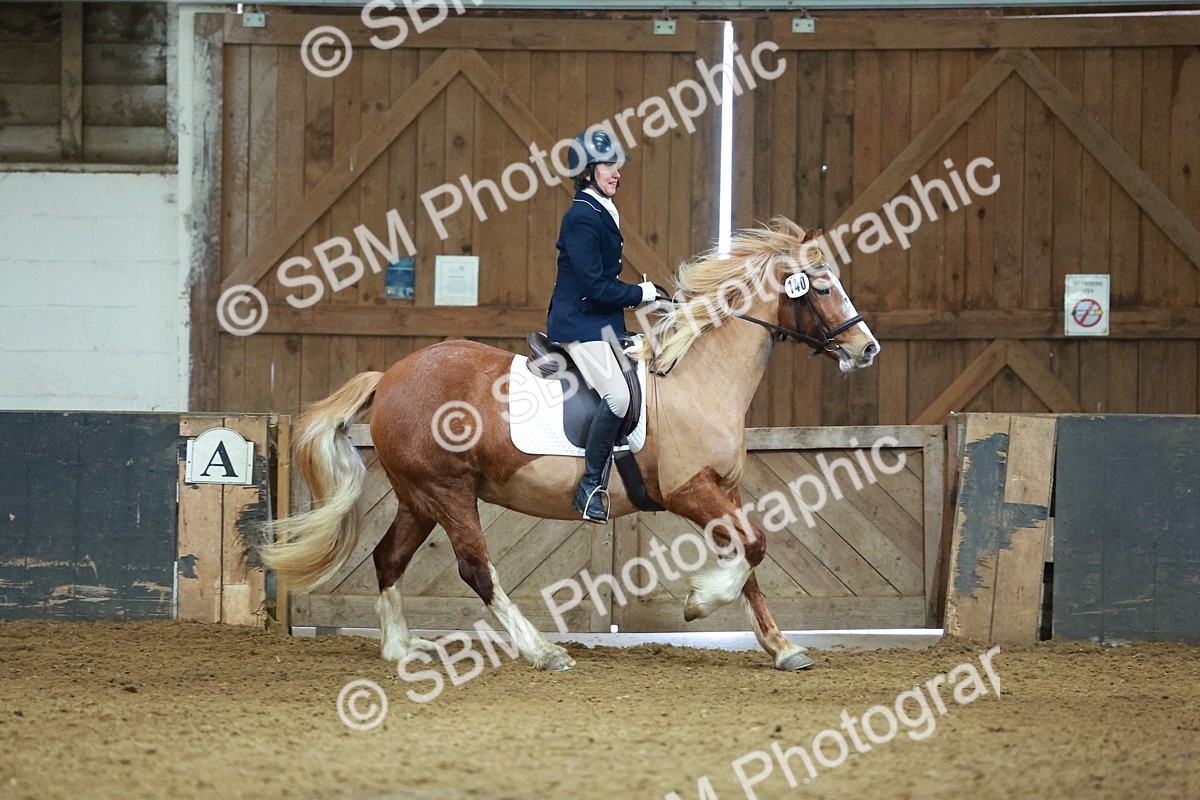 SBM_003641 - Novice 2