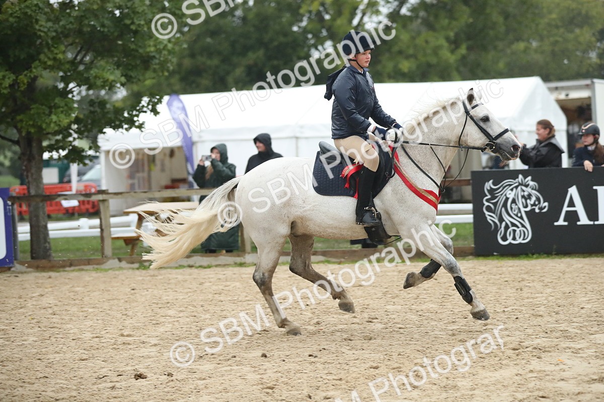 SBM_74343 - Supreme championship Junior Pony 70cm 75cm
