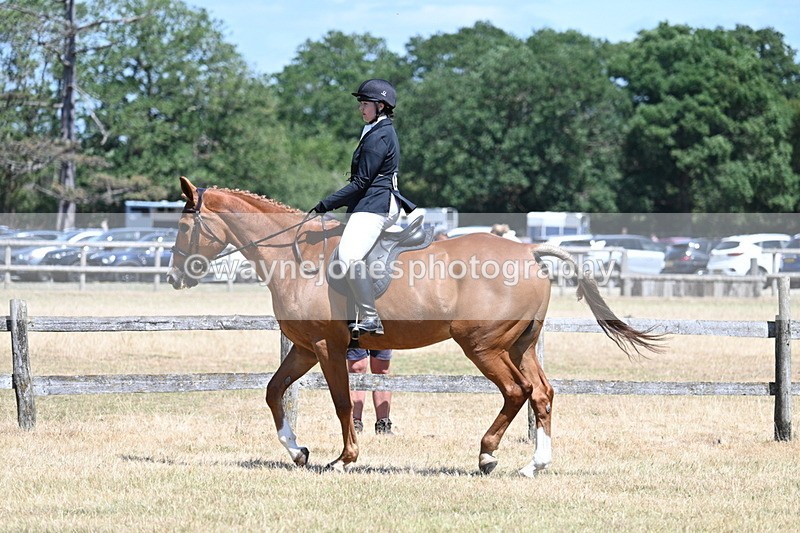 WJ7_2780 - Class 7 Riding Club Show Horse